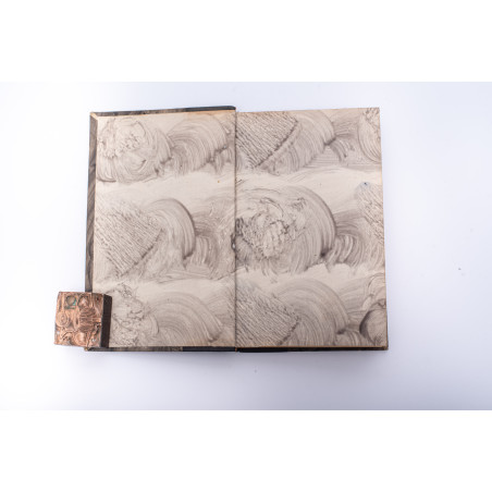 HOCHSINGER K., WOLBERG L., Zdrowie dziecka. Przewodnik dla rodziców, Warszawa 1901