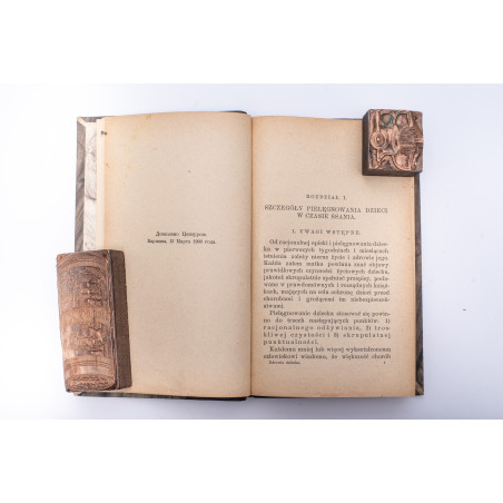 HOCHSINGER K., WOLBERG L., Zdrowie dziecka. Przewodnik dla rodziców, Warszawa 1901