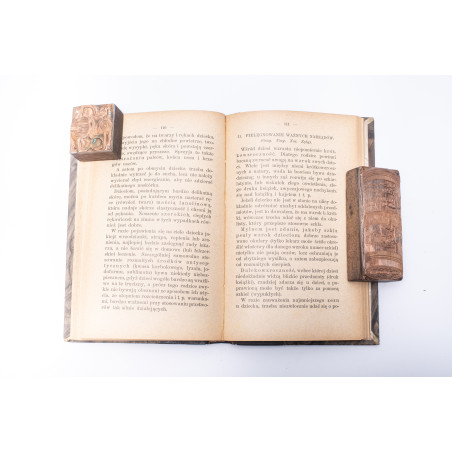 HOCHSINGER K., WOLBERG L., Zdrowie dziecka. Przewodnik dla rodziców, Warszawa 1901