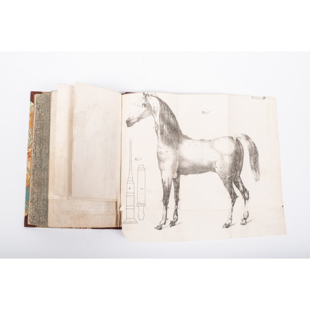 [WAGENFELD J.L.], Nauka leczenia zwierząt domowych. Z niem. przeł. T. Łyszkowski, Warszawa 1840