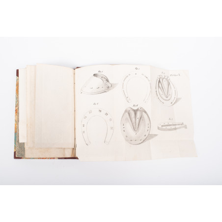 [WAGENFELD J.L.], Nauka leczenia zwierząt domowych. Z niem. przeł. T. Łyszkowski, Warszawa 1840