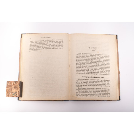 [N.Wł.], Przewodnik wykazujący zalety i wady koni czyli nauka o powierzchowności konia, Warszawa 1875