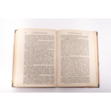 [N.Wł.], Przewodnik wykazujący zalety i wady koni czyli nauka o powierzchowności konia, Warszawa 1875