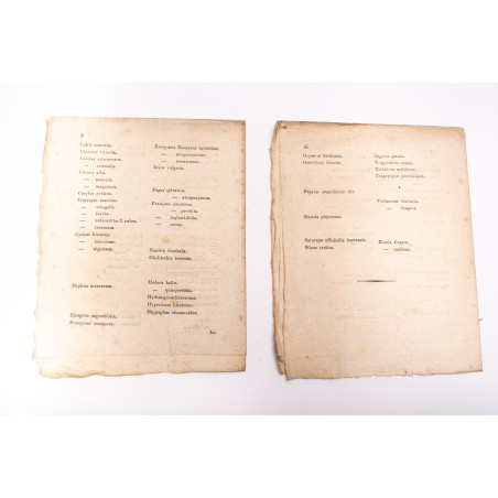 KATALOG DRZEW i roślin znayduiących się w ogrodzie Podzamczym JW. Ordynata Zamoyskiego, [b.m.] nie przed 1815