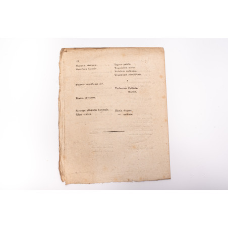 KATALOG DRZEW i roślin znayduiących się w ogrodzie Podzamczym JW. Ordynata Zamoyskiego, [b.m.] nie przed 1815