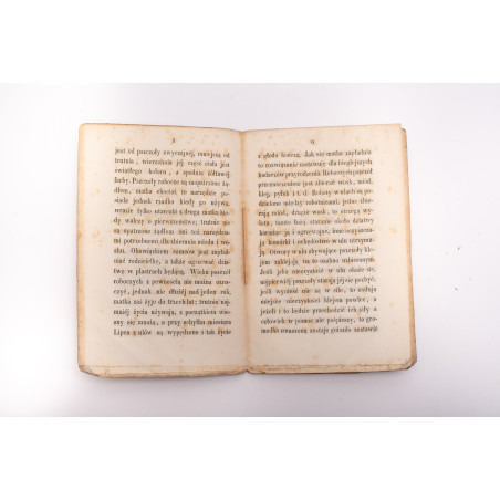 SIKORSKI J., Przewodnik do hodowli pszczół, Wilno 1854