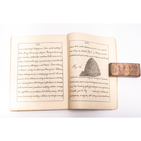 BICZAJ J., Ogród warzywny w gospodarstwie wiejskiem nauczycielki, Lwów  1896