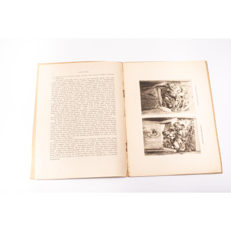 SOKOŁOWSKI J., Z ochrony ptaków. Osobne odbicie z zesz. IX "Ochrony Przyrody", Kraków 1929