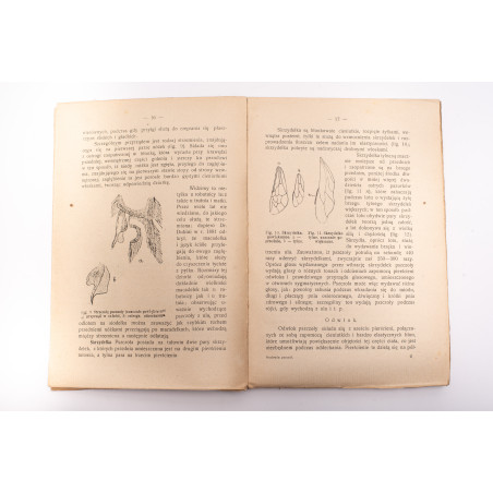 WEBER L., Hodowla pszczół, Lwów 1922