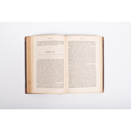 HUMBOLDT A. v., Podróże. Oddział I. Tom I–II. Podróż po Afryce i Ameryce, Wilno 1861