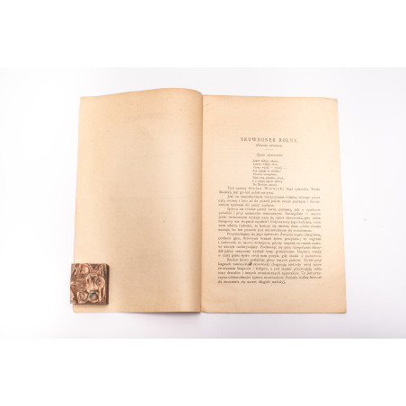 RYBOWSKI M., Skowronek. Obrazek z historyi naturalnej. Osobne odbicie z 'Opiekuna zwierząt', Kraków 1888