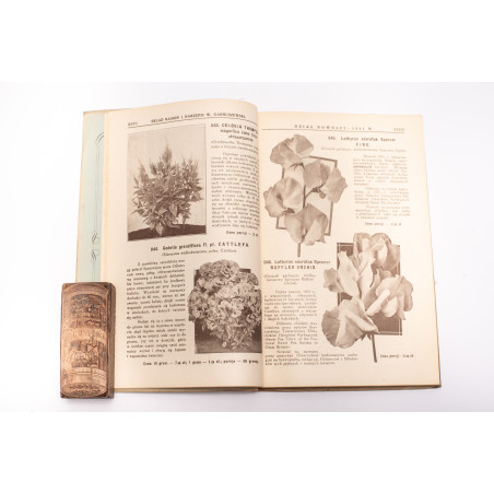 CENNIK NASION ogrodowych i rolnych W. Garnuszewski w Warszawie, 1931