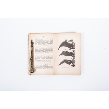 ZABOROWSKI A., Światy zaginione. Przeł. J.K. Potocki, Warszawa 1899