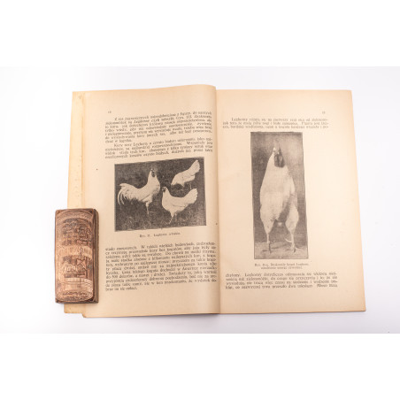 KARCZEWSKA M., Dobre nioski, Warszawa 1927