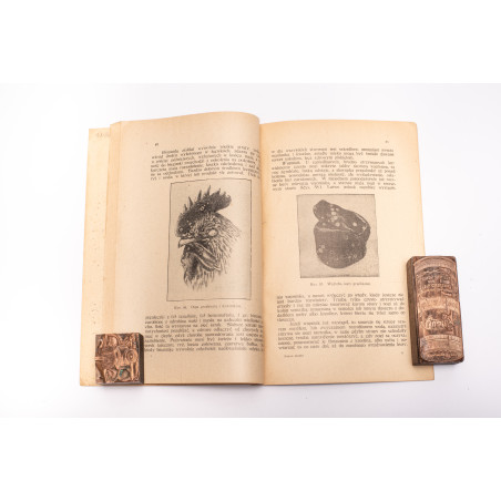 KARCZEWSKA M., Dobre nioski, Warszawa 1927