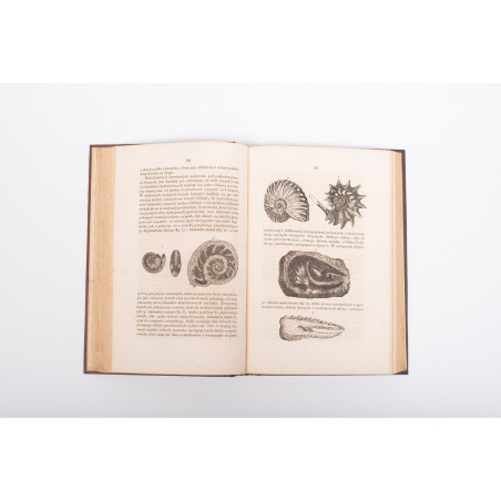 ZIMMERMANN W.F.A., Dziwy świata pierwotnego czyli kolebka wszech-świata, Warszawa 1857