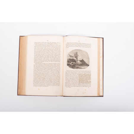 ZIMMERMANN W.F.A., Dziwy świata pierwotnego czyli kolebka wszech-świata, Warszawa 1857