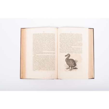 ZIMMERMANN W.F.A., Dziwy świata pierwotnego czyli kolebka wszech-świata, Warszawa 1857