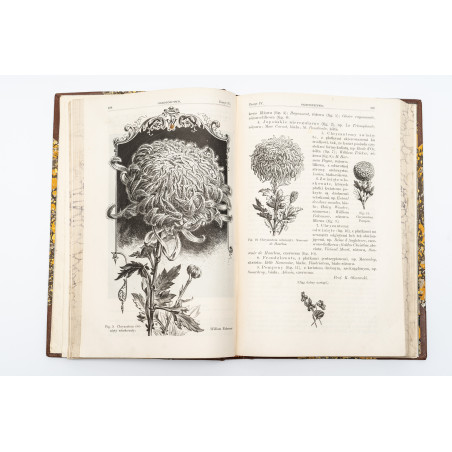 OGRODNICTWO. Organ Towarzystwa Ogrodniczego w Krakowie. Rocznik drugi,  1899