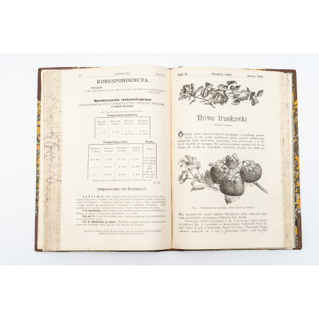 OGRODNICTWO. Organ Towarzystwa Ogrodniczego w Krakowie. Rocznik drugi,  1899