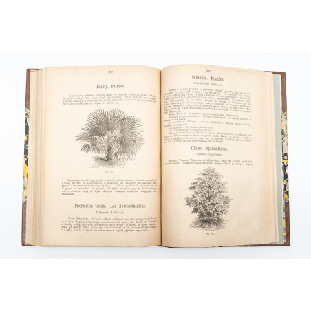 JANKOWSKI E., Kwiaty naszych ogrodów, Warszawa  1877