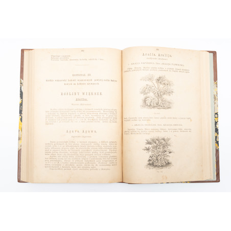 JANKOWSKI E., Kwiaty naszych ogrodów, Warszawa  1877