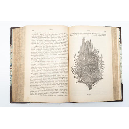 JANKOWSKI E., Ogród przy dworze wiejskim. T. I-II, Warszawa 1900