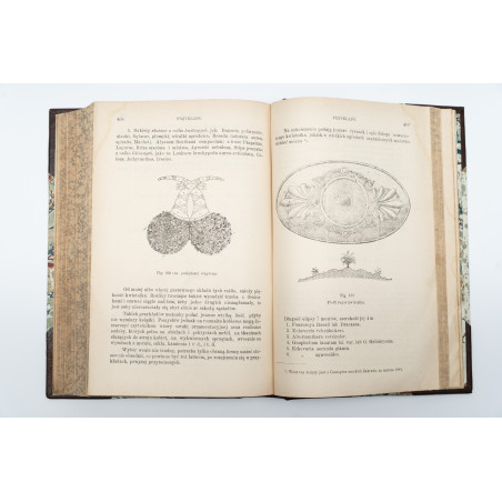 JANKOWSKI E., Ogród przy dworze wiejskim. T. I-II, Warszawa 1900