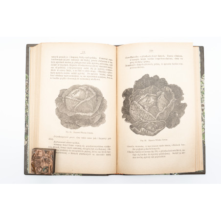 KACZYŃSKI J., Warzywa w gruncie. Z 105-ma drzeworytami, Warszawa 1886