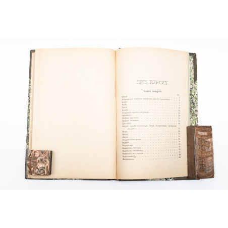 KACZYŃSKI J., Warzywa w gruncie. Z 105-ma drzeworytami, Warszawa 1886