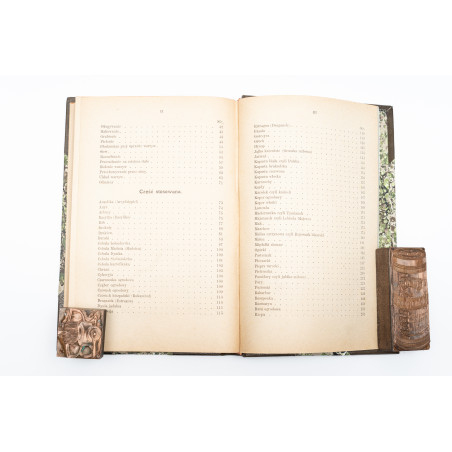 KACZYŃSKI J., Warzywa w gruncie. Z 105-ma drzeworytami, Warszawa 1886