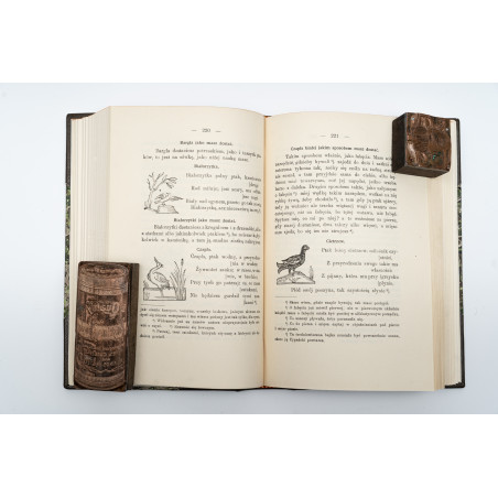 ROSTAFIŃSKI J., O myślistwie, koniach i psach łowczych, Kraków 1914