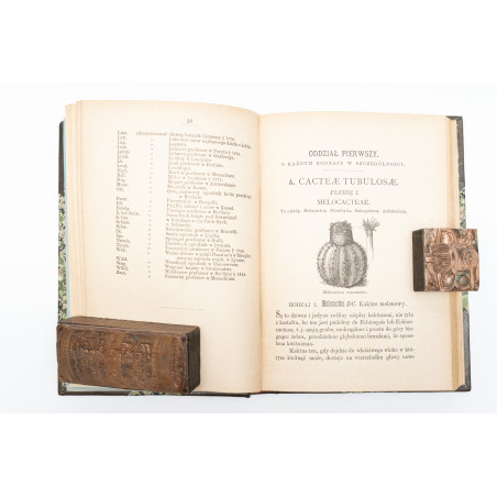 BERGER J., Rodzina kaktusów opisana i w systematycznym porządku przedstawiona, Warszawa  1882