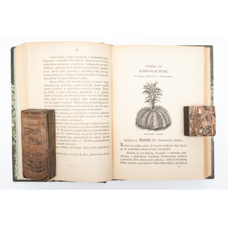 BERGER J., Rodzina kaktusów opisana i w systematycznym porządku przedstawiona, Warszawa  1882