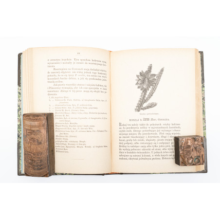 BERGER J., Rodzina kaktusów opisana i w systematycznym porządku przedstawiona, Warszawa  1882