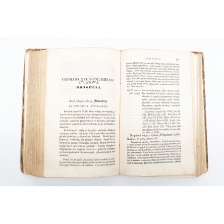 WAGA J., Flora polska jawnokwiatowych rodzajów czyli botaniczne opisy. T. II, Warszawa 1848