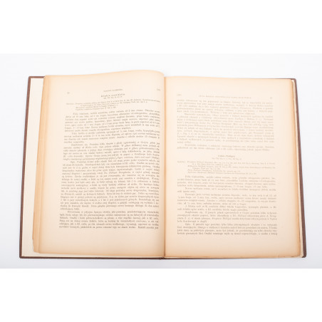 RACIBORSKI M., Flora kopalna ogniotrwałych glinek krakowskich, Kraków 1894