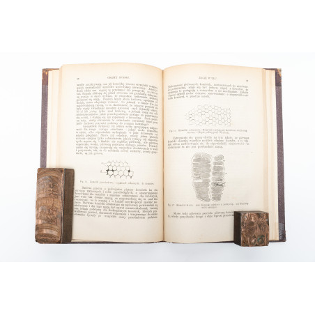 AGASIZZ L., Plan stworzenia. Odczyty o podstawach przyrodzonych powinowactwa między zwierzętami, Warszawa 1876