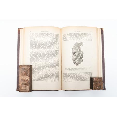 AGASIZZ L., Plan stworzenia. Odczyty o podstawach przyrodzonych powinowactwa między zwierzętami, Warszawa 1876