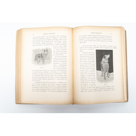 SAVOIA L.A., "Stella Polare" na oceanie lodowatym północnym 1899–1900, Warszawa 1905