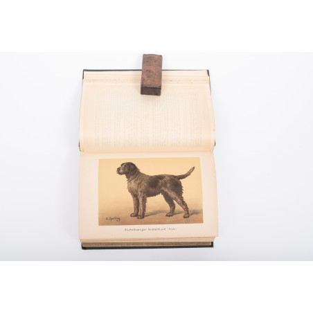 DIEZELS Niederjagd. Siebente, umgearbeitete Auflage, Berlin 1892