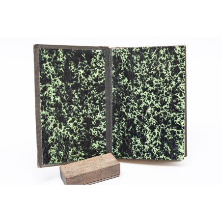 NIEWIADOMSKI W., Z życia flory. Z drzeworytami w tekście, wykonanemi w zakładzie B. Puca, Warszawa 1880