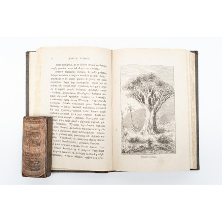 NIEWIADOMSKI W., Z życia flory. Z drzeworytami w tekście, wykonanemi w zakładzie B. Puca, Warszawa 1880