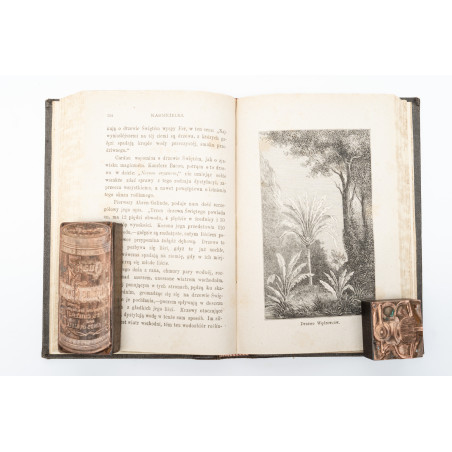 NIEWIADOMSKI W., Z życia flory. Z drzeworytami w tekście, wykonanemi w zakładzie B. Puca, Warszawa 1880