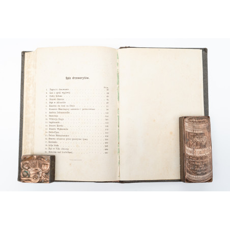 NIEWIADOMSKI W., Z życia flory. Z drzeworytami w tekście, wykonanemi w zakładzie B. Puca, Warszawa 1880