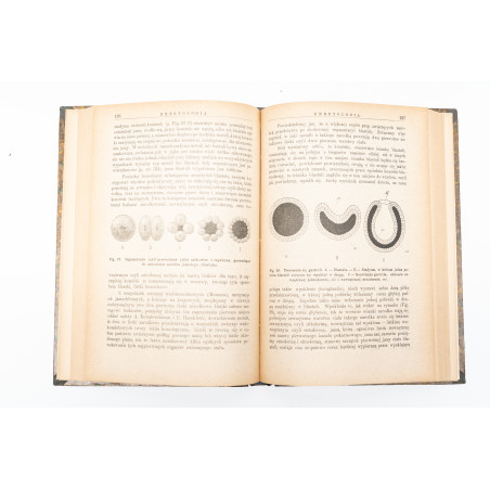 NUSBAUM J., Nauki o rozwoju zwierząt (embryologia). Z licznemi drzeworytami, Warszawa 1887
