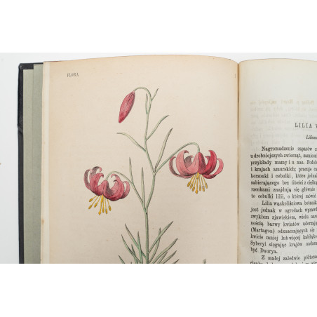 FLORA. Czasopismo botaniczno–ogrodnicze. Organ Lwowskiego Towarzystwa. I-VI,  1870