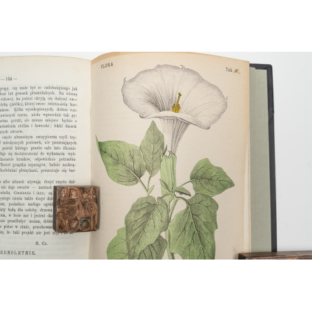 FLORA. Czasopismo botaniczno–ogrodnicze. Organ Lwowskiego Towarzystwa. I-VI,  1870