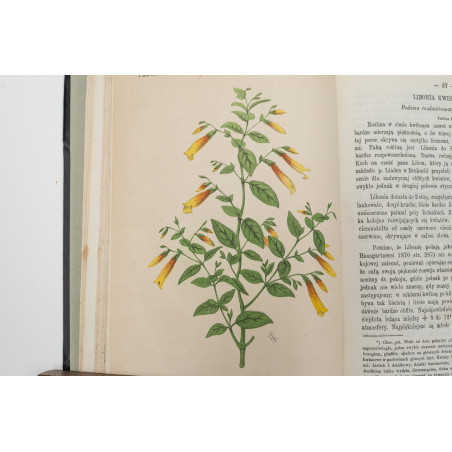 FLORA. Czasopismo botaniczno–ogrodnicze. Organ Lwowskiego Towarzystwa. I-VI,  1870
