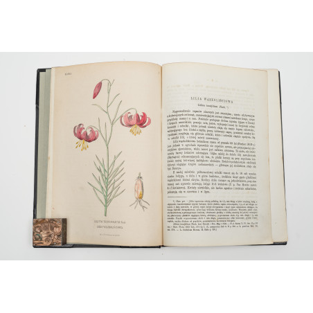 FLORA. Czasopismo botaniczno–ogrodnicze. Organ Lwowskiego Towarzystwa. I-VI,  1870